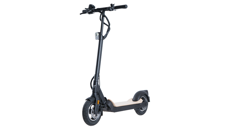 EGRET-TEN V4 36V schwarz/holz (StVZO) EGRET-TEN V4 36V schwarz/holz (StVZO)